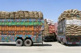 پنجاب بھر کے 200 سے زائد گوداموں سے ذخیرہ کی گئی گندم قبضے میں لے لی گئی