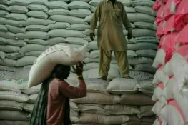 ٹی سی پی نے ایک لاکھ میٹرک ٹن چینی کی درآمد کے لیے ٹینڈر کھول دیا