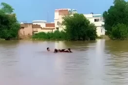 ملتان جلال پور میں سیلاب متاثرین کی کشتی الٹنے کی وجہ سامنے آگئی