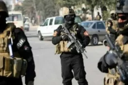 سی سی ڈی چکوال کی کامیاب کارروائیاں