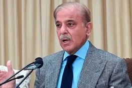 مسئلہ کشمیر حل کیے بغیر پاک بھارت تعلقات قائم نہیں ہوسکتے: وزیر اعظم شہباز شریف