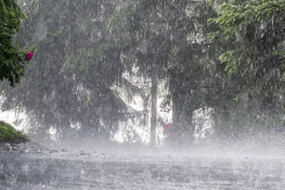 پنجاب میں مون سون کے 10ویں اسپیل کی پیشگوئی، پی ڈی ایم اے کا الرٹ جاری