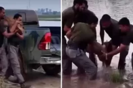 راوی کنارے فارم ہاؤس میں سیلابی پانی میں پھنسے 6 شیر بحفاظت ریسکیو