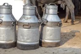 کراچی: ڈاکو دودھ کے ڈرم میں چھپائے 60 لاکھ روپے لے اڑے