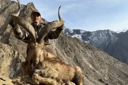 مارخور کے شکار کا پرمٹ ریکارڈ 10 کروڑ روپے میں نیلام