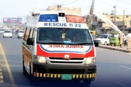 لاہور میں مبینہ طور پر زہریلے دہی بھلے کھانے سے دو مزدور جاں بحق