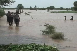 دریائے چناب بپھر گیا، درجنوں دیہات کے زمینی رابطے منقطع
