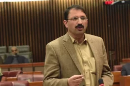 پی ٹی آئی میں بڑی تبدیلیوں کا امکان، جنید اکبر ممکنہ نئے چیئرمین نامزد