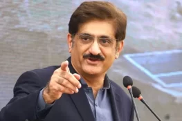 وفاق سے گندم خریداری کی اجازت بڑی کامیابی ہے: مراد علی شاہ