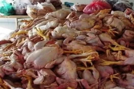 کراچی کے ہوٹلوں، فاسٹ فوڈ اور بریانی سینٹرز پر مردہ مرغیوں کے گوشت کی سپلائی کا انکشاف