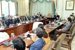 وفاقی کابینہ نے ٹی ایل پی پر پابندی کی منظوری دے دی