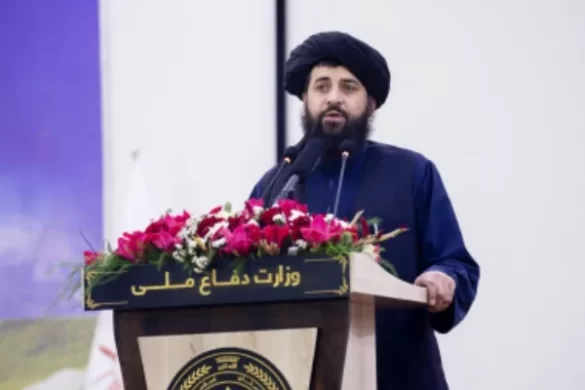 افغان وزیر دفاع نے پاک افغان کشیدگی میں بھارتی کردار کی باتیں مسترد کر دیں