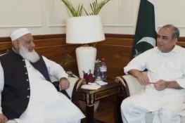 مدارس یا مساجد کی بندش کا کوئی ارادہ نہیں، یہ صرف پروپیگنڈہ ہے: محسن نقوی