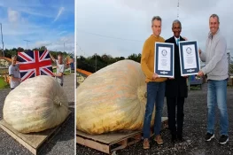 برطانیہ: دنیا کے سب سے وزنی کدو کا گینیز ورلڈ ریکارڈ