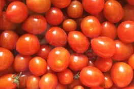 کراچی میں ٹماٹر مرغی کے گوشت سے بھی مہنگا ہو گیا