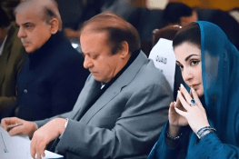 ن لیگ اور پیپلز پارٹی میں سیز فائرپر اتفاق