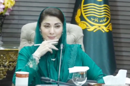 قبضہ مافیا کا خاتمہ، پنجاب پروٹیکشن آف اونرشپ پراپرٹی آرڈیننس منظور