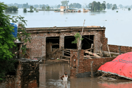 پنجاب میں سیلاب سے متاثرہ 81 ہزار سے زائد افراد کی تفصیلات جمع کر لی گئیں