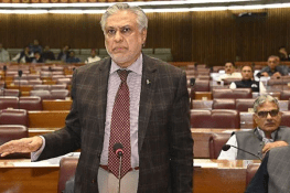 ٹرمپ کے 20 نکات ہمارے نہیں، صرف مشترکہ بیان کا حصہ ہیں: اسحاق ڈار