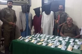 تھانہ گلیانہ پولیس کی بڑی کارروائی، عثمانو گینگ گرفتار