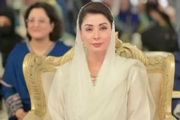 زمین و پراپرٹی پر قبضہ: مریم نواز کی ہدایت، ڈی سی آفس میں درخواست دیں، دنوں میں فیصلہ ہوگا