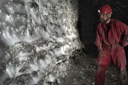 یورپ کے غار میں ایک لاکھ 11 ہزار مکڑیوں کا شاہکار, دنیا کا سب سے بڑا جالا دریافت