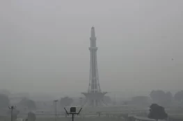 ماہرین نے فضائی آلودگی اور اسموگ میں کمی کا قدرتی حل بتا دیا