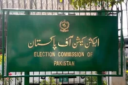 طلال چوہدری کے بھائی کی کامیابی کا نوٹیفکیشن روک دیا گیا، چیف الیکشن کمشنر کے سخت ریمارکس