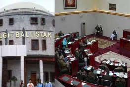 گلگت بلتستان اسمبلی تحلیل، جسٹس (ر) یار محمد ناصر نگران وزیرِاعلیٰ مقرر