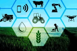 جہلم میں فارمر فیلڈ ڈے اور زراعتی آگاہی سیمینار کا کامیاب انعقاد