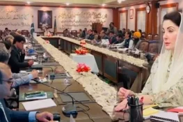 پنجاب کابینہ نے کالعدم تحریک لبیک پاکستان پر پابندی کی باضابطہ توثیق کر دی