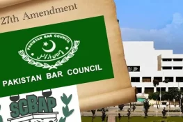 پاکستان بار کونسل اور سپریم کورٹ بار نے وفاقی آئینی عدالت کی حمایت کر دی