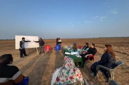 پنجاب میں 13 ارب روپے کا جھینگا فارمنگ منصوبہ، بلیو اکانومی کی جانب اہم پیش رفت