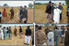 سوہاوہ میں شہری کا قبضہ شدہ پلاٹ بازیاب