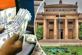 اوورسیز ترسیلات زر: پاکستان کی معیشت کے لیے سنہری موقع