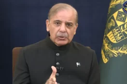 بجلی کے شعبے میں اصلاحات تیز کرنے کی ہدایت، ترسیل اور پیداواری کمپنیوں کی نجکاری پر زور