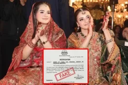 پنجاب حکومت نے وزراء کے میک اپ کے لیے 4 کروڑ کی گرانٹ نہیں دی، نوٹیفکیشن جعلی ہے