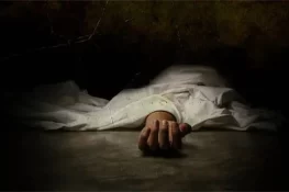 گھریلو تشدد بل کی منظوری کے بعد بیوی کے ہاتھوں شوہر قتل