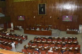 سعودی کمپنی پر سینکڑوں پاکستانیوں کو یرغمال بنانے کا الزام، سینیٹ کمیٹی میں انکشاف