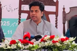 وفاقی حکومت ذمہ داری صوبے پر ڈالنے کی کوشش کر رہی ہے، شفیع جان