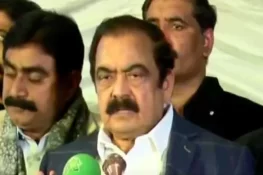 مکافاتِ عمل: رانا ثنا اللہ کا پارٹی سربراہ کی سزا پر مؤقف