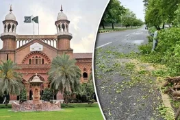 لاہور میں درختوں کی کٹائی اور تراش خراش پر فوری پابندی عائد
