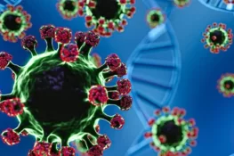 خیبرپختونخوا میں نیپا وائرس کے خطرے کے پیش نظر ہنگامی اقداما،