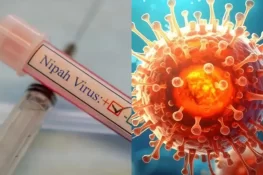 نیپاہ وائرس کو کیٹیگری 5 کا سنگین خطرہ قرار دے دیا گیا
