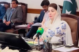 وزیر اعلیٰ پنجاب مریم نواز نے دیگر شہروں میں بھی بسنت کے انعقاد کا عندیہ دے دیا