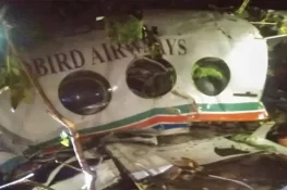 بھارت میں چارٹرڈ ایئر ایمبولینس گر کر تباہ، تمام 7 افراد ہلاک