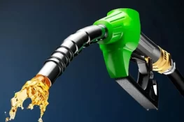 پہلی ششماہی میں پیٹرولیم لیوی کی ریکارڈ وصولی