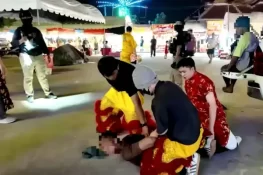 تھائی لینڈ پولیس کا انوکھا اقدام: شیر کے لباس میں چور کو پکڑ لیا