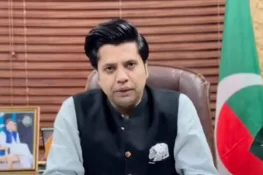 عمران خان کی رہائی کے بعد فورس تحلیل کر دی جائے گی، یہ کوئی سیاسی ونگ نہیں: شفیع جان