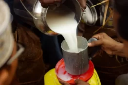 کراچی: ڈیری فارمرز نے دودھ کی قیمت بڑھانے کا مطالبہ کر دیا